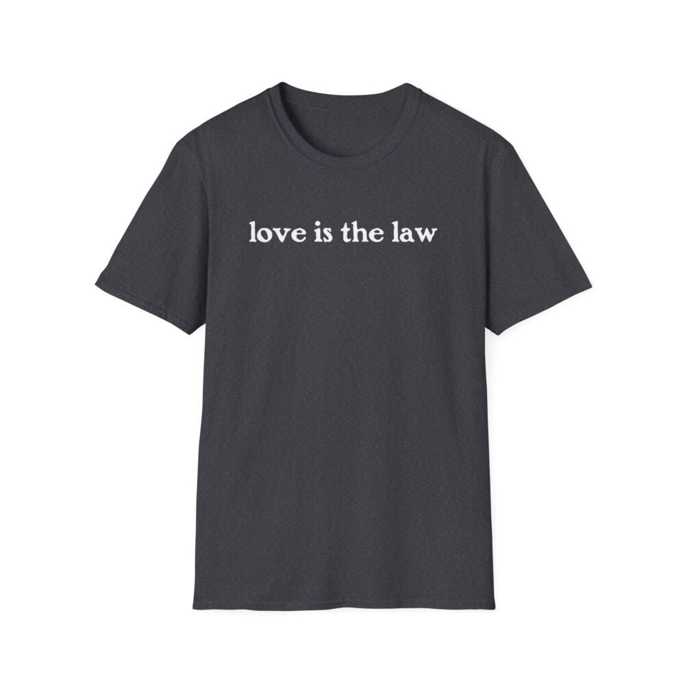 Love Is The Law - Image 7